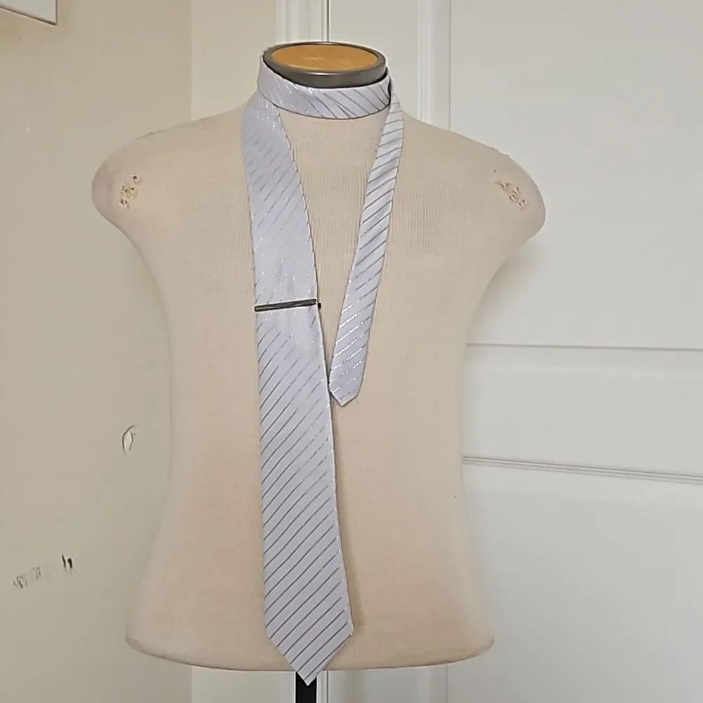 Vettorio Fratini Men's Sparkling Tie With Tie Pin White & Silver
